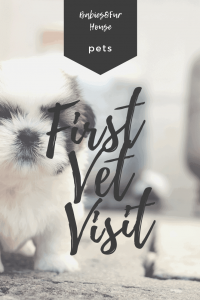 First Vet Visit: What to Expect #newpuppy #newkitten #firstvetvisit
