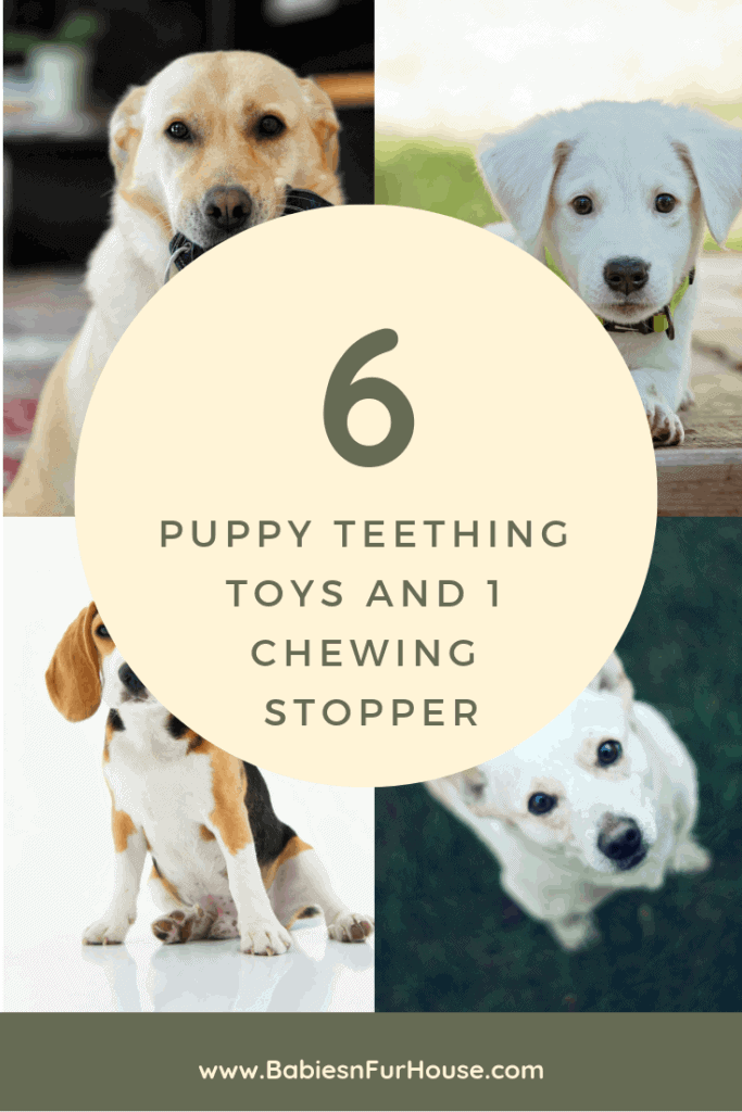 Puppy Teething: Tips And Tools To Get Through It #puppyteething #puppyteethingtips #puppyteethingtools