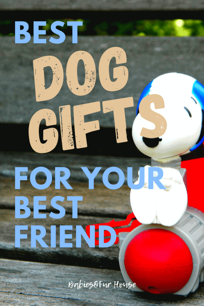 Best Dog Gifts For Your Best Friend