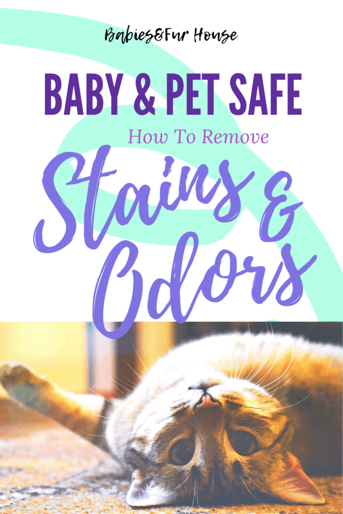 Removing Stains & Odor: Baby and Pet Safe #carpetcleaner #springcleaning #petodor #petodoreliminator #babystains #cleaning
