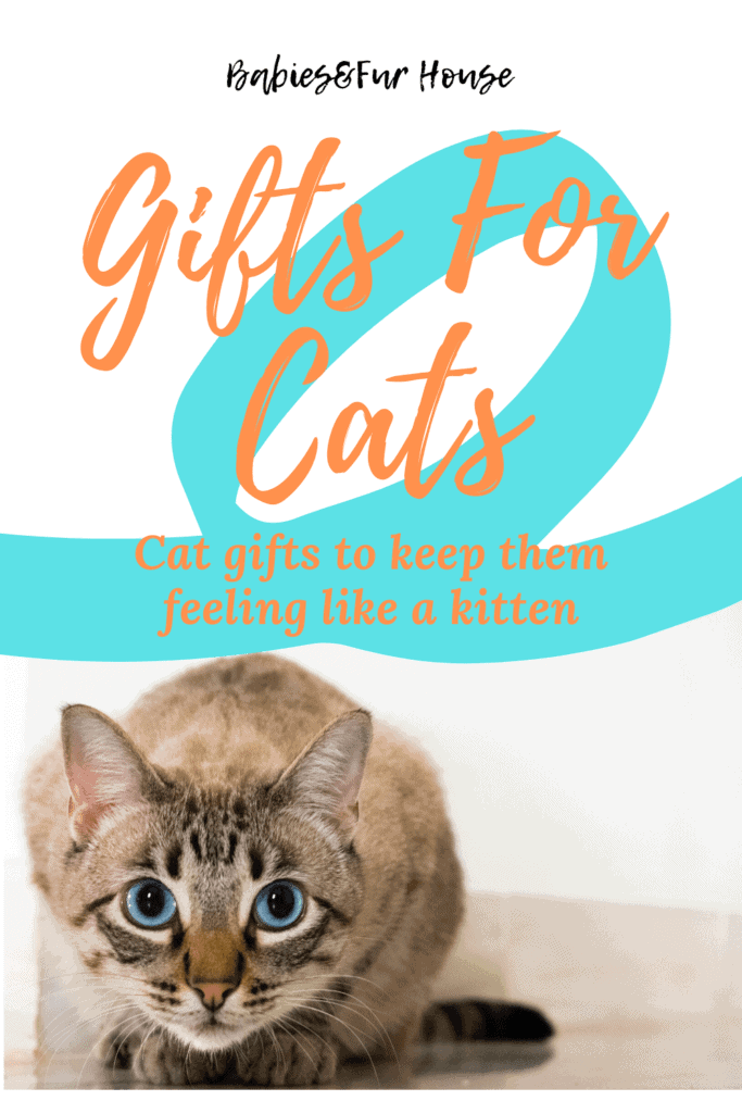 Gifts For Cats: Toys For Their Inner Kitten
