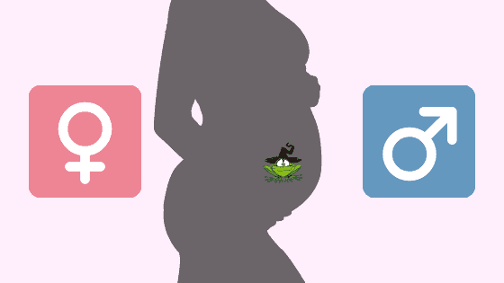 pregnancy week 12