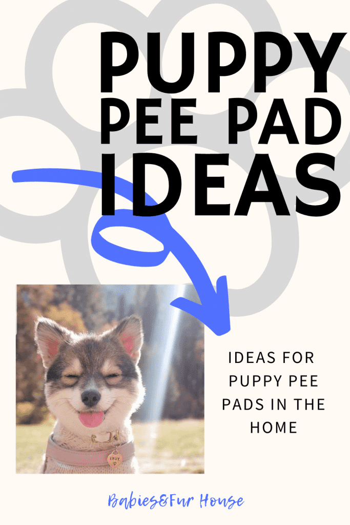 puppy pee pad ideas
